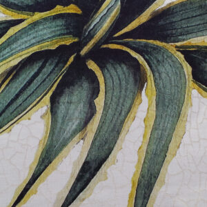 Tovaglia Agave