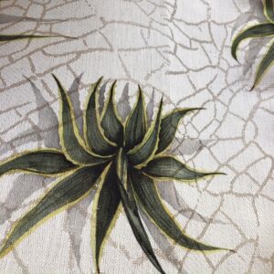 Runner Agave