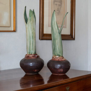 Vaso Bulbo