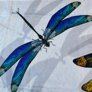 Runner Dragonfly