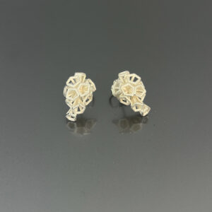Earrings Scion