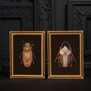 Entomologia fantastica