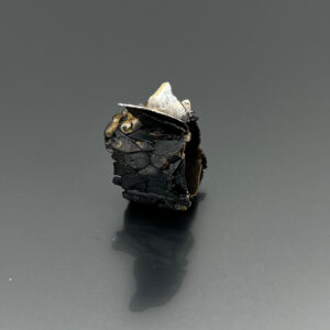 Anello Ali #74 - Thumbnail Image 2