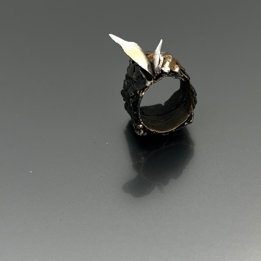 Anello Ali #74 - immagine 1