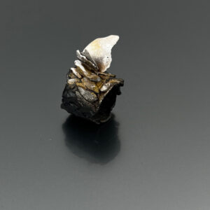 Anello Ali #74 - Thumbnail Image 3